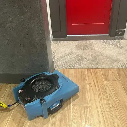 Air movers and a dehumidifier drying a living room floor beside a wall moisture meter