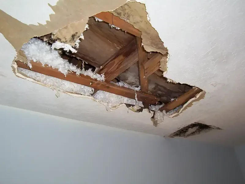 Ceiling opened to wet joists and insulation after a leak from above